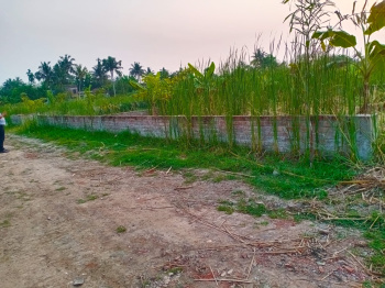 Agricultural Land for Sale in Joka, Kolkata
