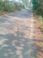 Agricultural Land for Sale in Amtala, Kolkata