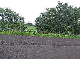 Agricultural Land for Sale in Mhow Road, Indore