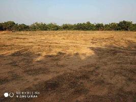  Agricultural Land for Sale in Tarapur, Anand