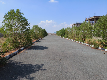  Residential Plot for Sale in B Thandrapadu, Kurnool