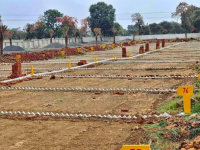  Residential Plot for Sale in Jhajjar Road, Gurgaon