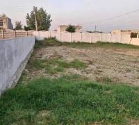  Agricultural Land for Sale in Sultanpur, Gurgaon