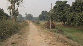  Agricultural Land for Sale in Raxaul Bazar, Champaran