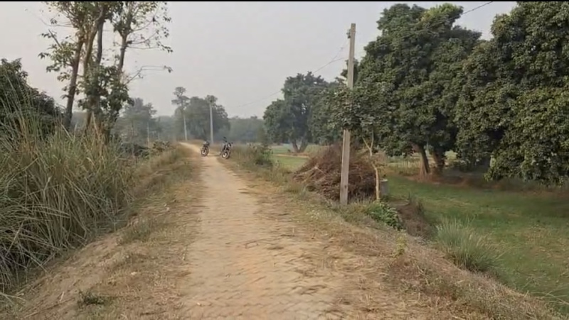  1 Bigha Agricultural/Farm Land for Sale in Raxaul Bazar, Champaran