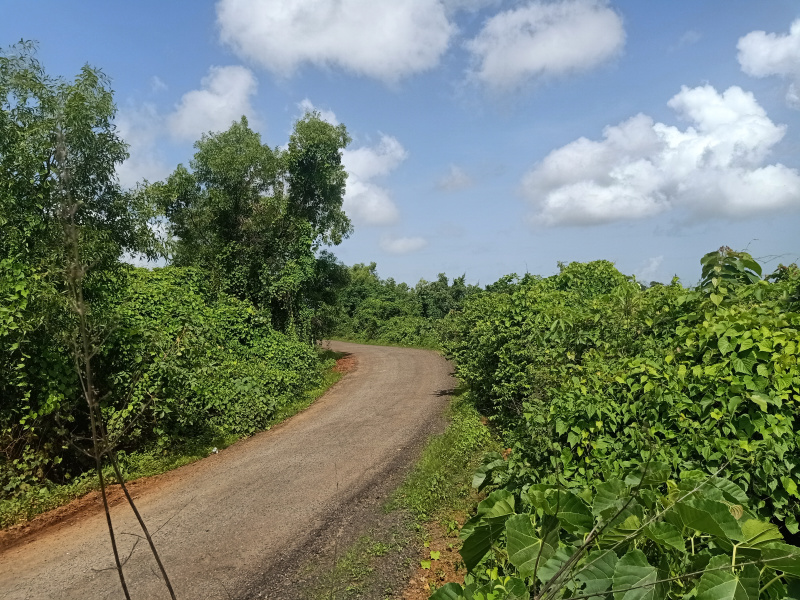 Agricultural Land 4 Acre for Sale in Karjat, Mumbai