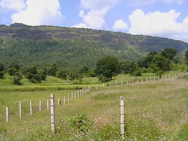 Agricultural Land 25000 Sq.ft. for Sale in Kasara Budruk, Thane