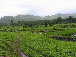  Residential Plot for Sale in Neral, Mumbai