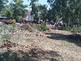  Residential Plot for Sale in Sidhauli, Sitapur