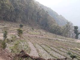  Agricultural Land for Sale in Rangpo, East Sikkim