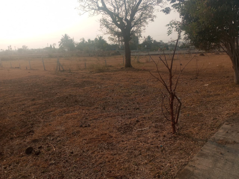  Residential Plot 1972 Sq.ft. for Sale in Ranjangaon MIDC, Pune