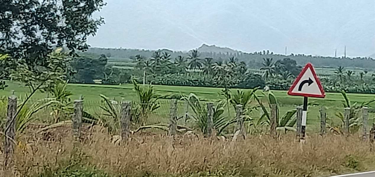 Agricultural Land 3 Acre for Sale in Annur Metu Palayam, Coimbatore