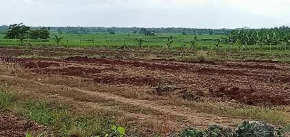  Agricultural Land for Sale in Annur Metu Palayam, Coimbatore