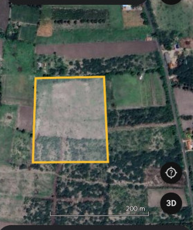  Agricultural Land 7 Acre for Sale in Annur, Coimbatore