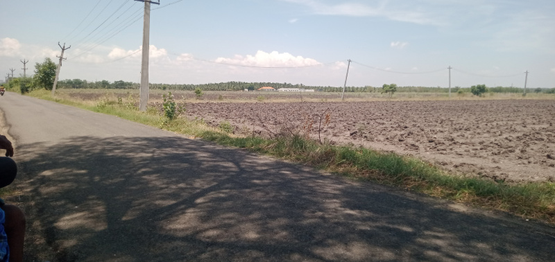  Agricultural Land 10 Acre for Sale in Athipalayam, Coimbatore