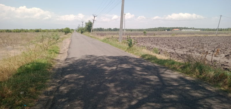  Agricultural Land 10 Acre for Sale in Athipalayam, Coimbatore