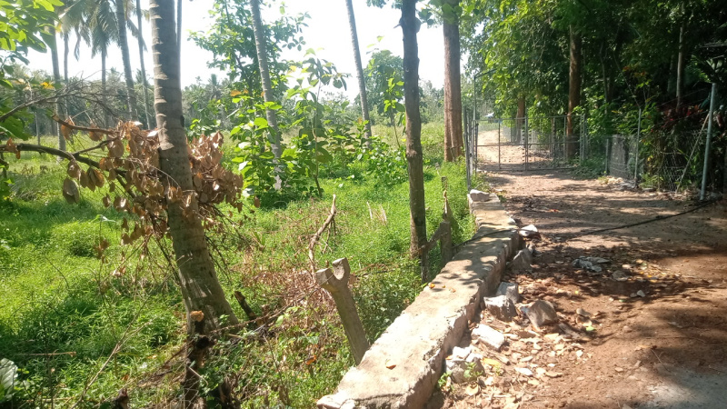  Agricultural Land 6 Acre for Sale in Annur, Coimbatore