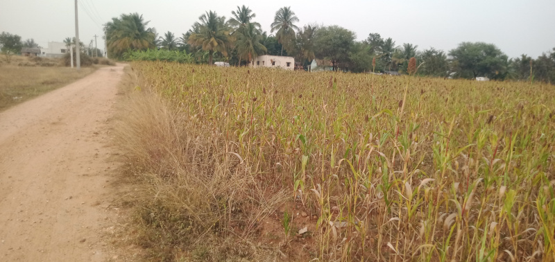  36 Cent Agricultural/Farm Land for Sale in Saravanampatti, Coimbatore