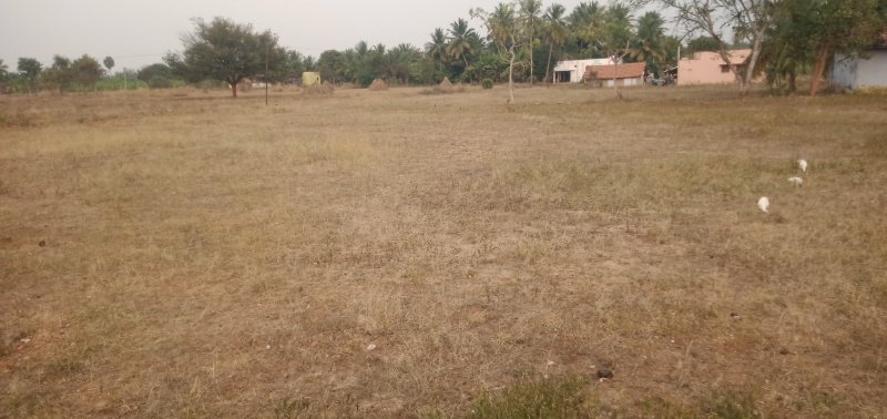  40 Cent Agricultural/Farm Land for Sale in Athipalayam, Coimbatore