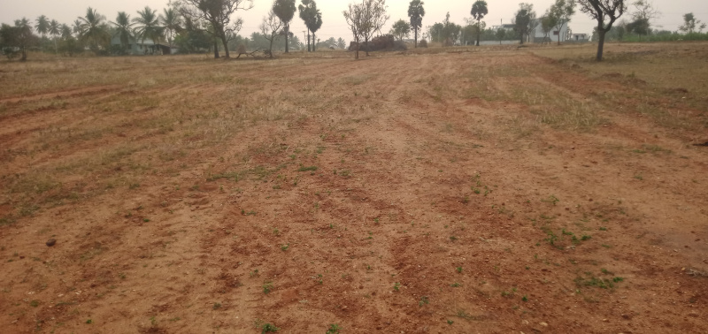  40 Cent Agricultural/Farm Land for Sale in Athipalayam, Coimbatore