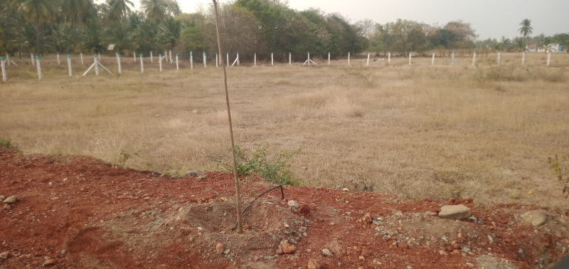  25 Cent Agricultural/Farm Land for Sale in Kalapatti, Coimbatore