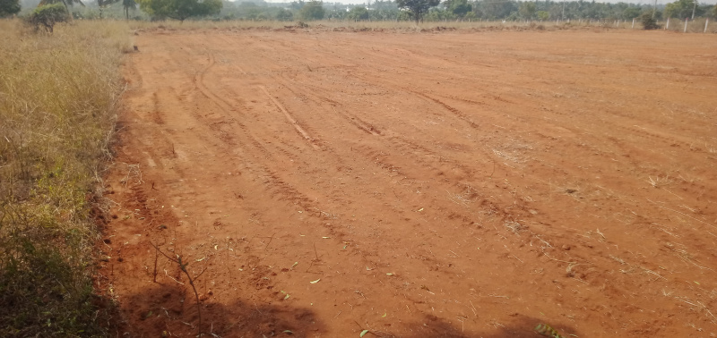  25 Cent Agricultural/Farm Land for Sale in Kalapatti, Coimbatore