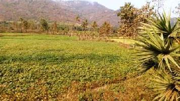  Agricultural Land for Sale in Ichchapuram, Srikakulam