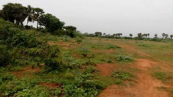  Industrial Land for Sale in Pendurthi, Visakhapatnam