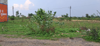  Residential Plot for Sale in Dadda Dham, Katni