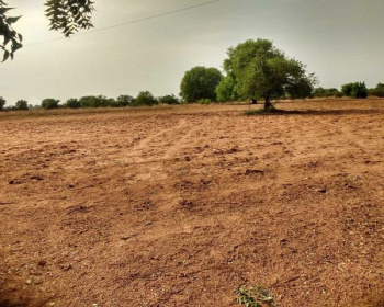  Agricultural Land for Sale in Focal Point, Dera Bassi