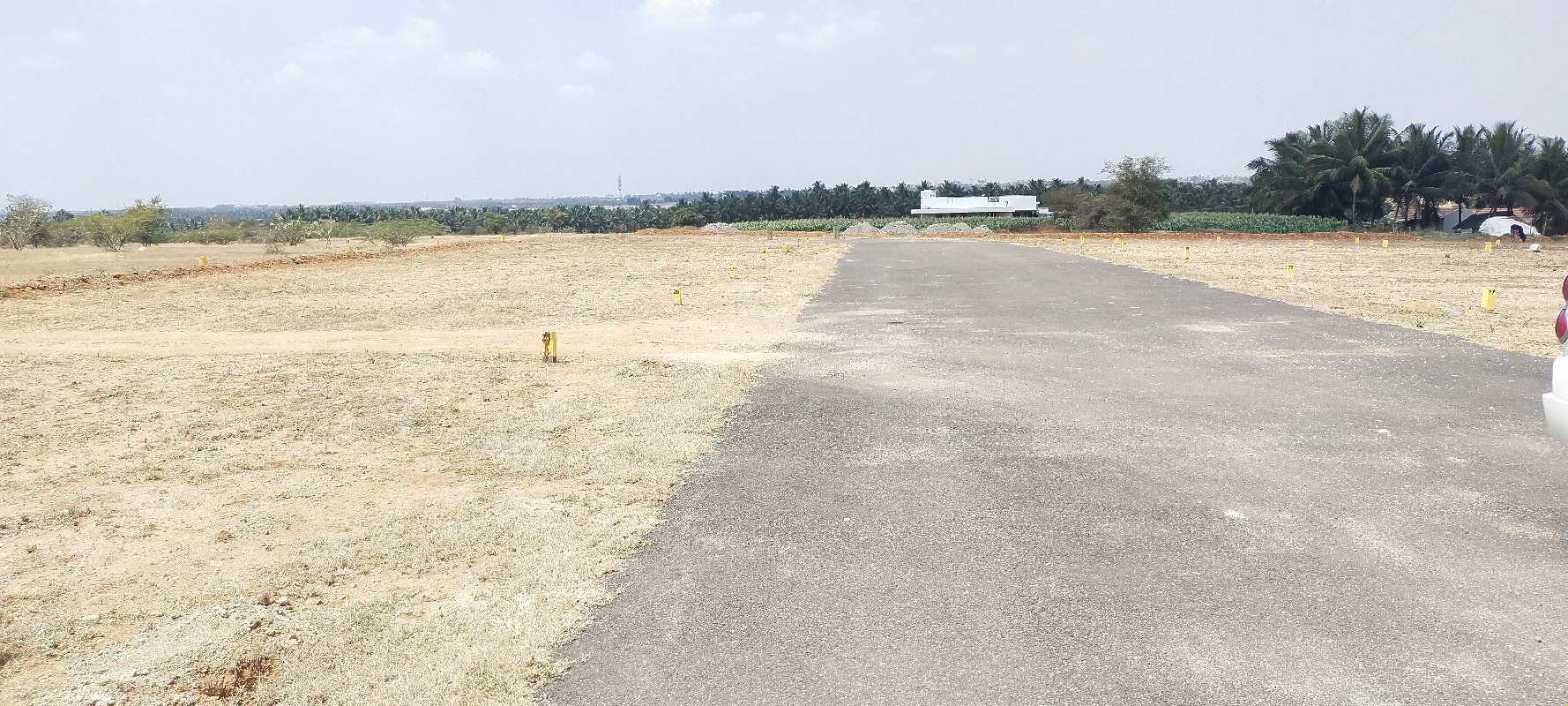 1200 Sq.ft. Residential Plot for Sale in Podanur Shetty Palayam