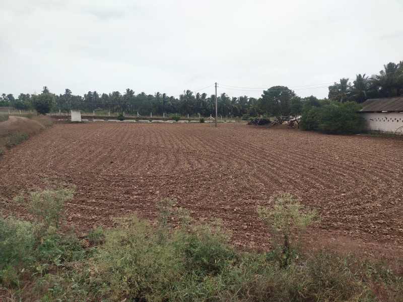  Agricultural Land 70 Cent for Sale in Vadasithur, Coimbatore