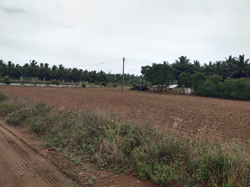  Agricultural Land 70 Cent for Sale in Vadasithur, Coimbatore