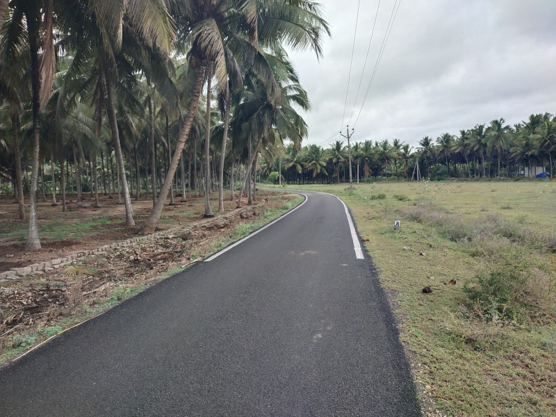  Agricultural Land 1 Acre for Sale in Kinathukadavu, Coimbatore
