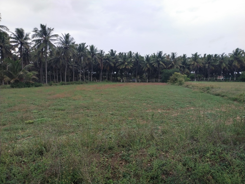  Agricultural Land 1 Acre for Sale in Kinathukadavu, Coimbatore
