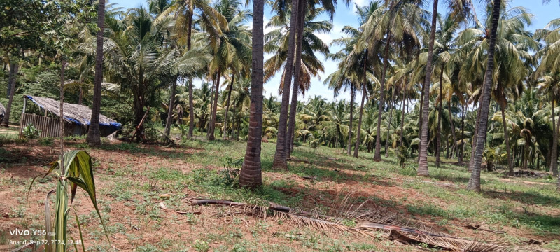 1 BHK Farm House 80 Cent for Sale in Pollachi, Coimbatore