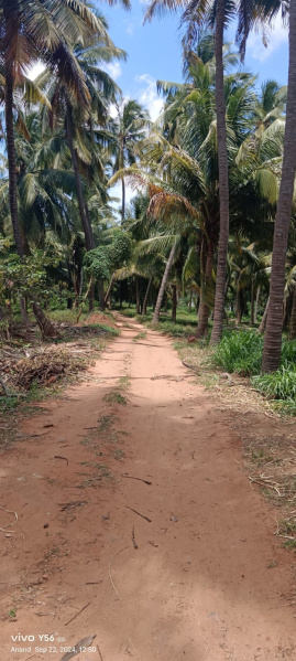 1 BHK Farm House 80 Cent for Sale in Pollachi, Coimbatore