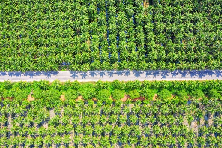  Agricultural Land 9 Acre for Sale in Thondamuthur, Coimbatore