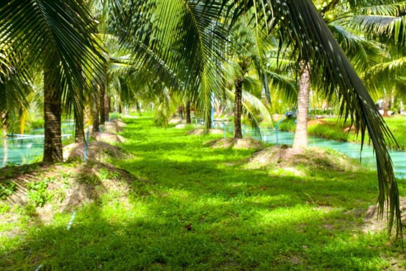  Agricultural Land 7 Acre for Sale in Thondamuthur, Coimbatore