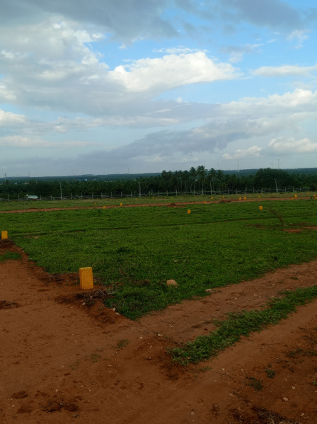  Residential Plot 38 Cent for Sale in Mettupalayam Coimbatore