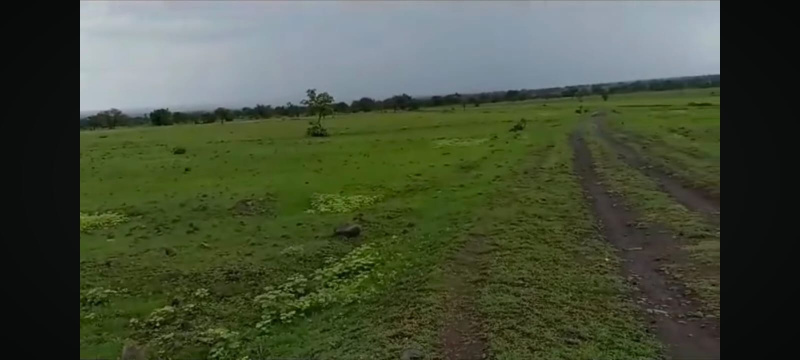  Residential Plot 55 Cent for Sale in Karamadai, Coimbatore