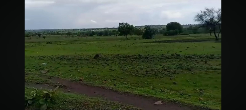  Residential Plot 55 Cent for Sale in Karamadai, Coimbatore