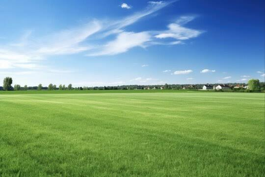  Residential Plot 33 Cent for Sale in Karamadai, Coimbatore