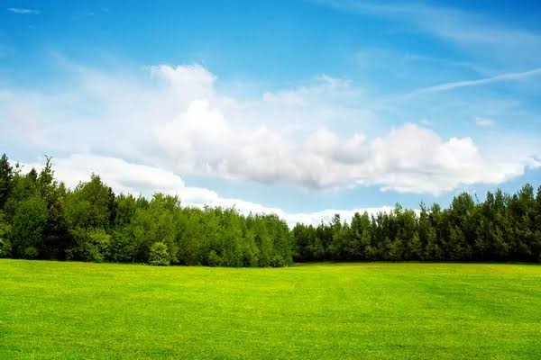  Residential Plot 33 Cent for Sale in Karamadai, Coimbatore