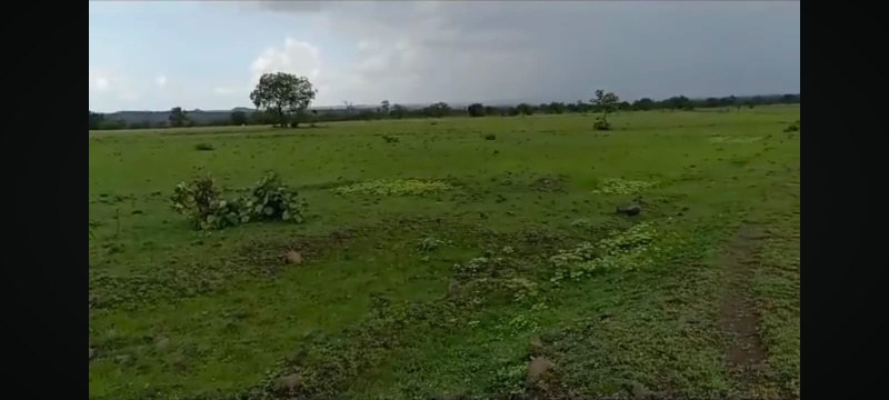  Residential Plot 33 Cent for Sale in Karamadai, Coimbatore