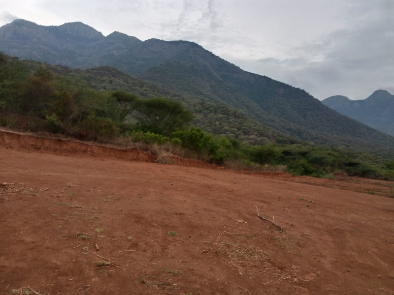  Residential Plot 17 Cent for Sale in Race Course, Coimbatore