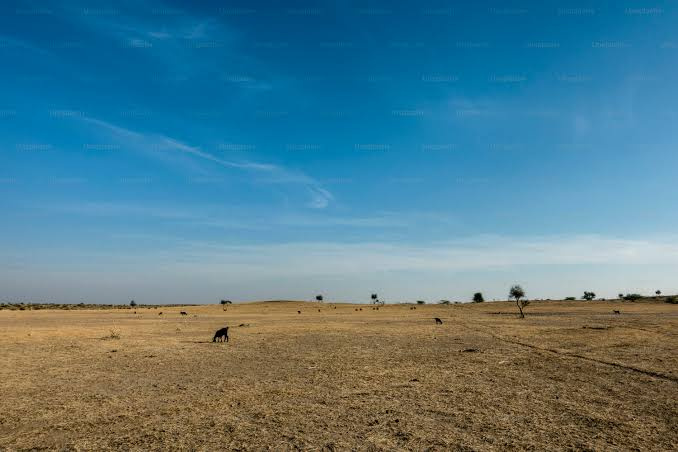  270 Acre Agricultural/Farm Land for Sale in Aravakurichi, Karur