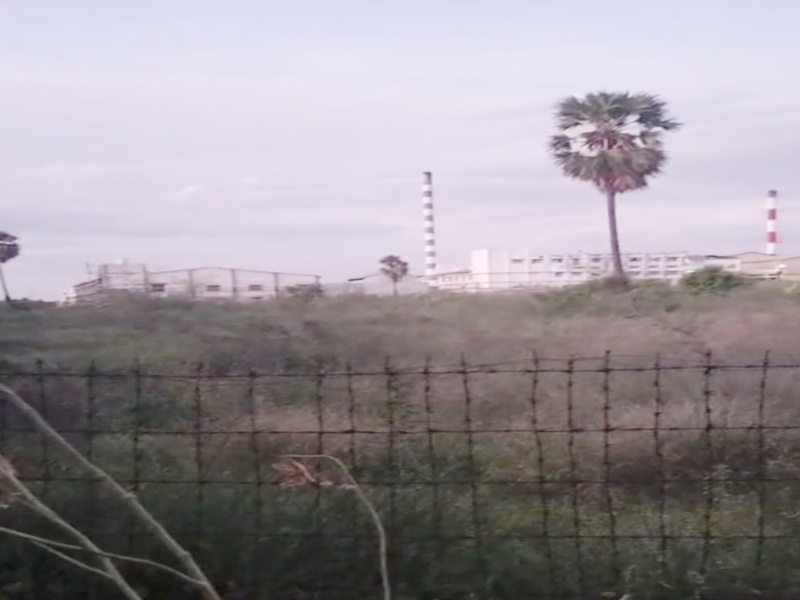  3 Acre Agricultural/Farm Land for Sale in Periyasemur, Erode