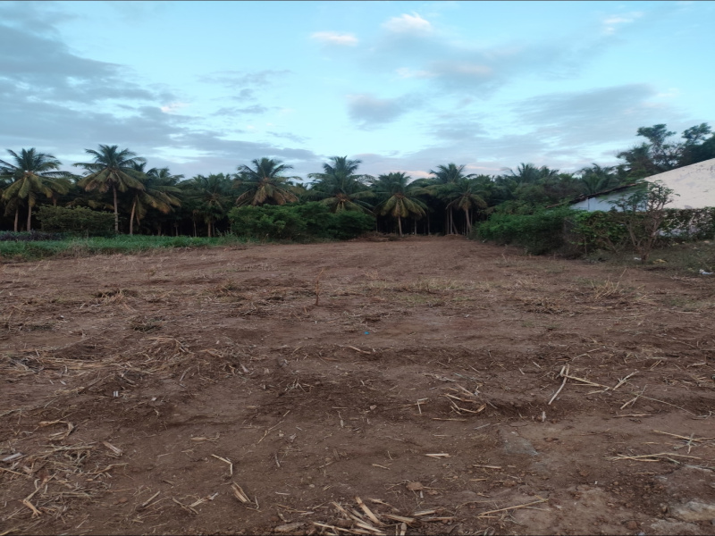  50 Cent Agricultural/Farm Land for Sale in Press Colony, Coimbatore