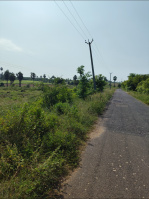 Agricultural Land for Sale in Puliampatti, Coimbatore